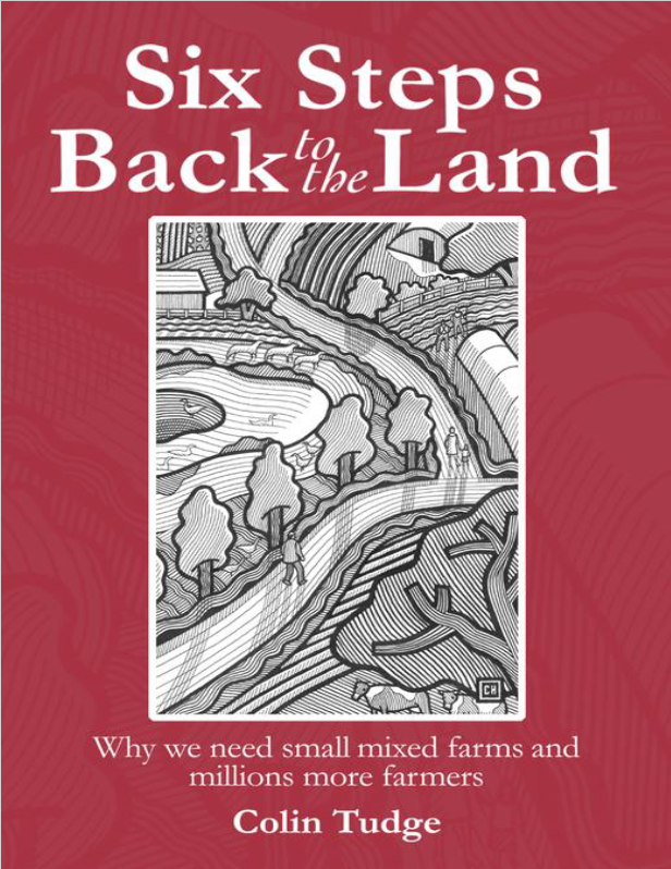 Six Steps Back to the Land: Why we need small mixed farms and millions more farmers